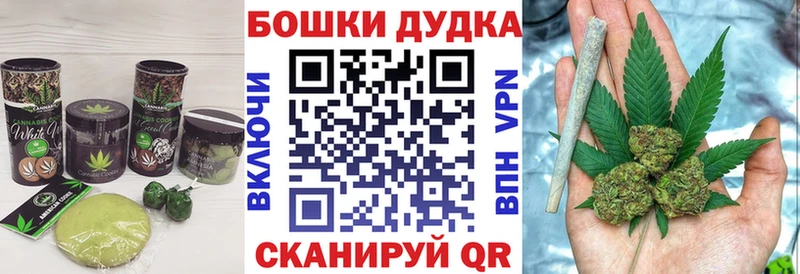Canna-Cookies конопля  Сясьстрой 