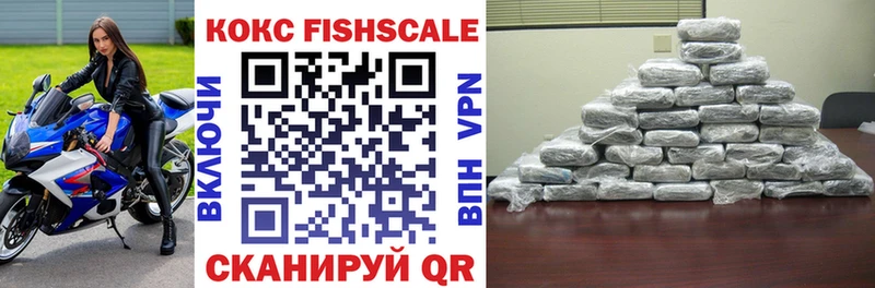 хочу наркоту Сясьстрой Кокаин Fish Scale