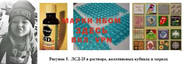 спиды Алзамай