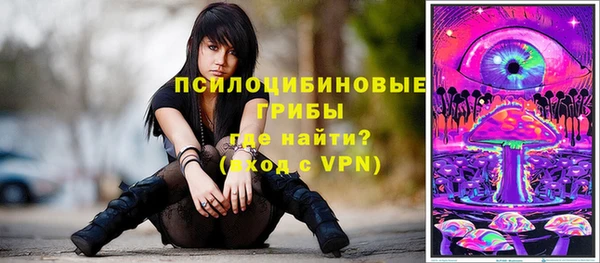 гидра Алексеевка