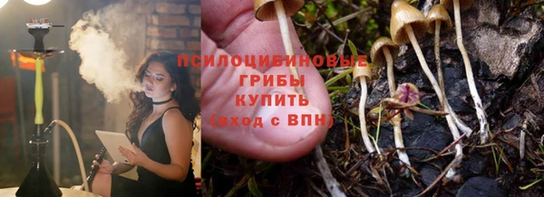 гидра Алексеевка