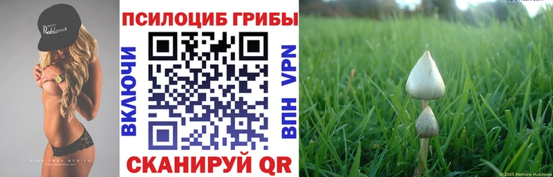 omg как зайти  наркота  Сясьстрой  Псилоцибиновые грибы мухоморы 